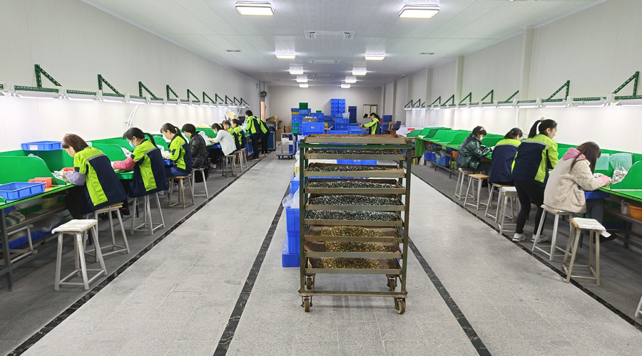專業技術團隊